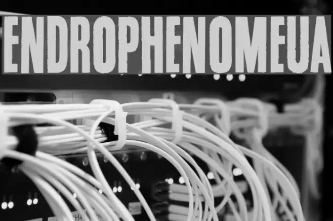 Endrophenomeua Font examples