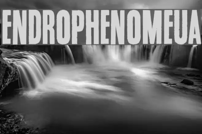 Endrophenomeua Font examples