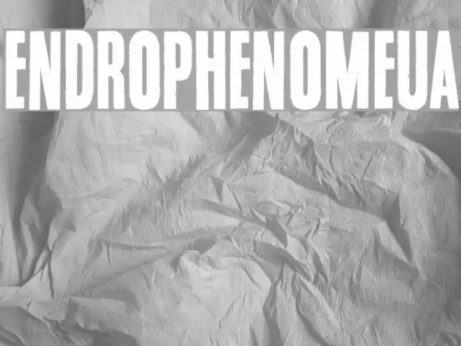 Endrophenomeua Font examples