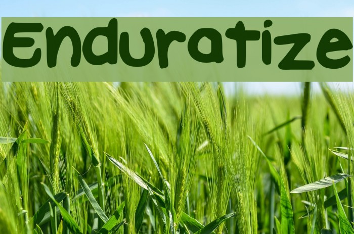 Enduratize Example 2