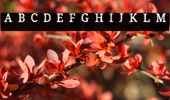 Endurest Distant Demo Example 1