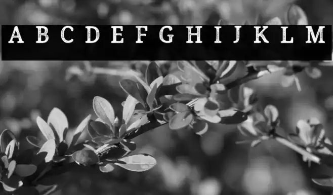 Endurest Distant Demo Font examples