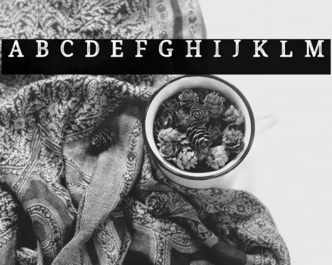 Endurest Distant Demo Font examples