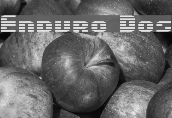 Enduro Dos Font examples