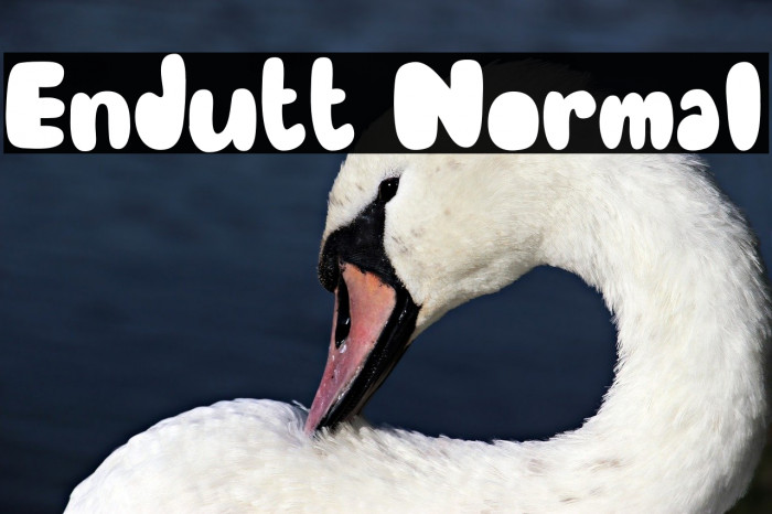 Endutt Normal لخطوط تنزيل examples