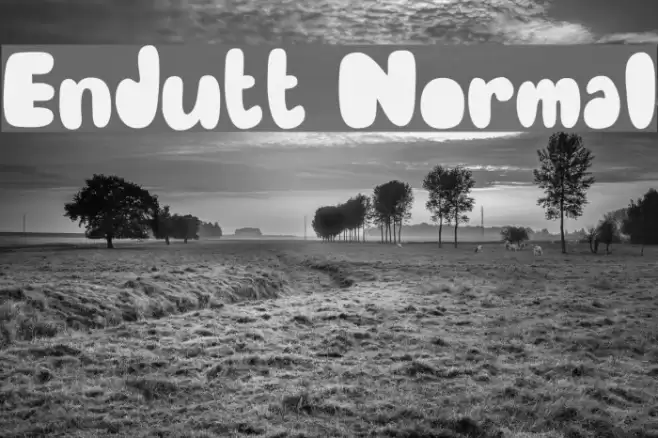 Endutt Normal Font examples