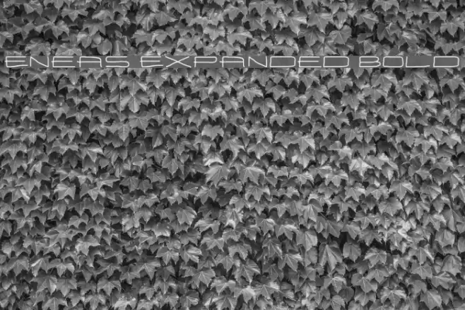 Eneas Expanded Bold Schriftart examples