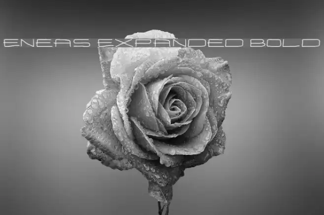 Eneas Expanded Bold Schriftart examples