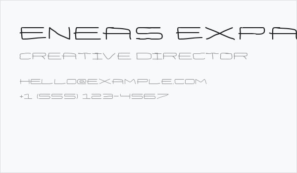 Eneas Expanded Bold Business Card