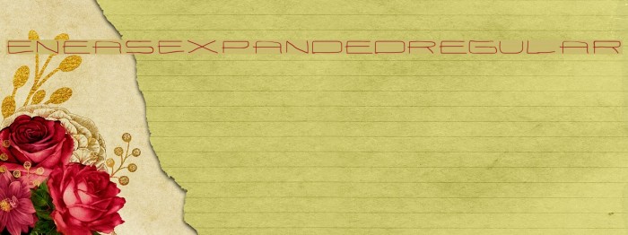 EneasExpandedRegular Font examples