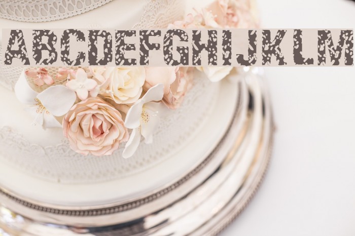 EnemaLight Font examples