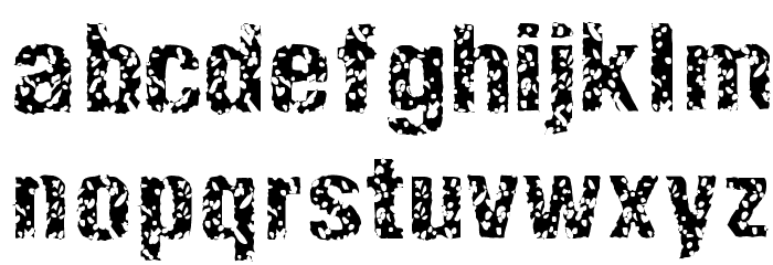 EnemaLight Font LOWERCASE
