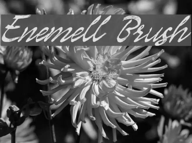 Enemell Brush Font examples