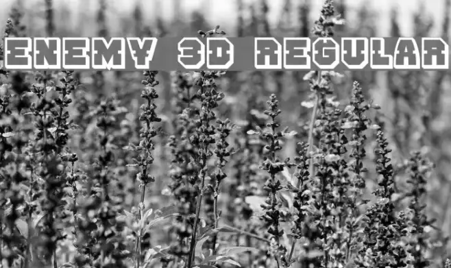 Enemy 3D Regular Example 3