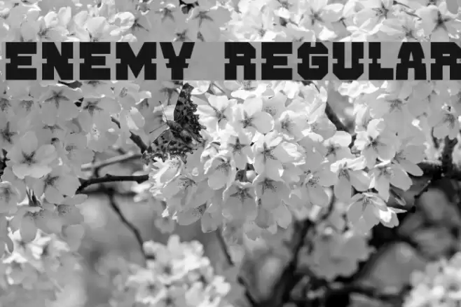 Enemy Regular Font examples