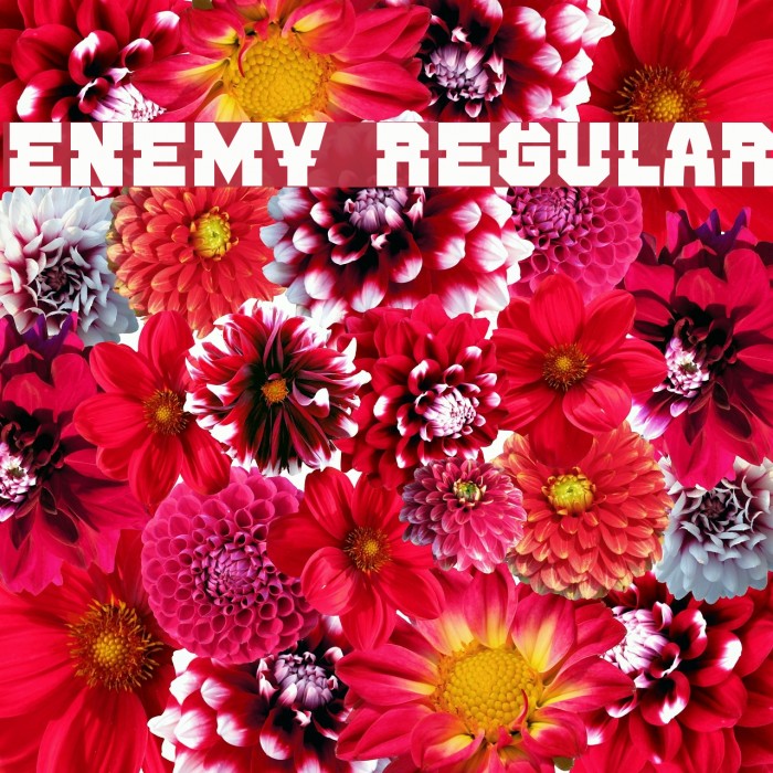 Enemy Regular Font examples