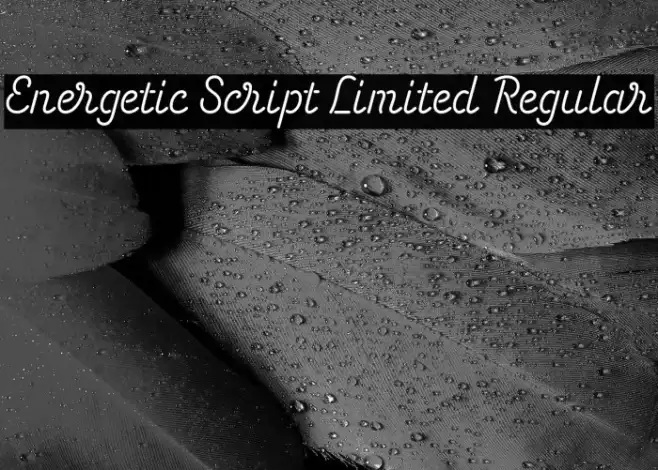 Energetic Script Limited Regular Example 2
