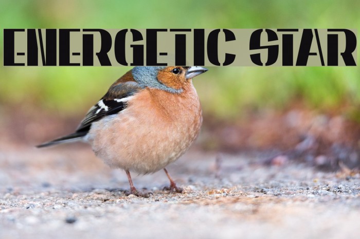 Energetic Star Font examples