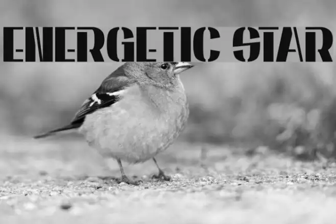 Energetic Star Example 3