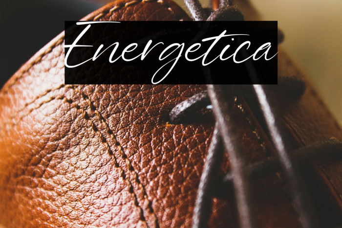 Energetica Example 1