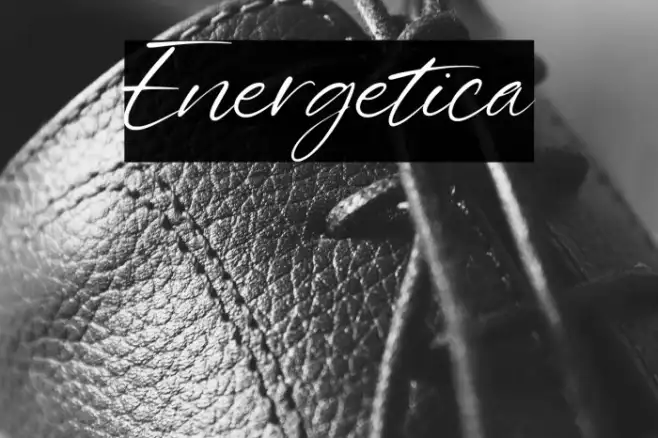 Energetica Example 1