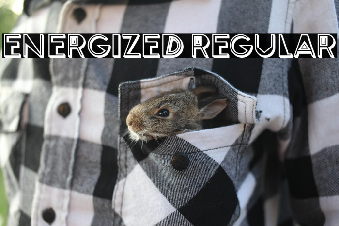 Energized Regular Example 1