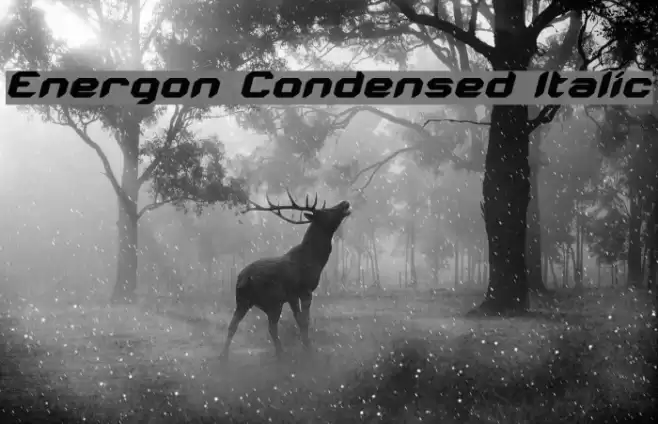 Energon Condensed Italic Шрифта examples