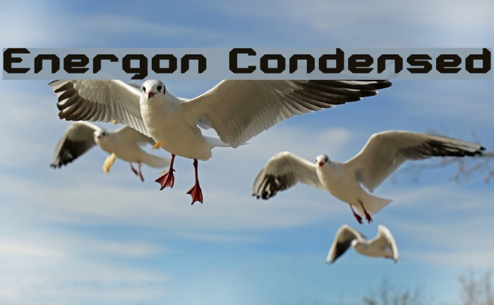 Energon Condensed Font examples
