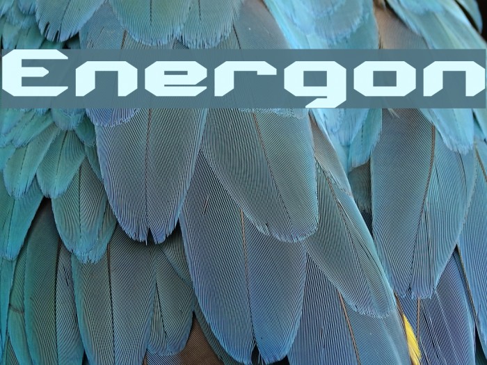 Energon Polices examples