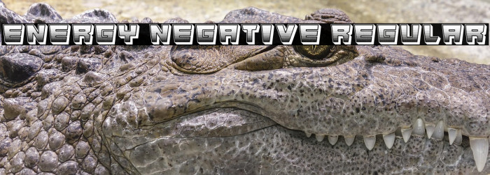 Energy Negative Regular Example 1