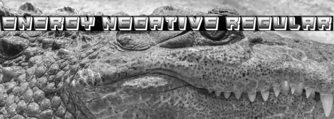 Energy Negative Regular Example 1