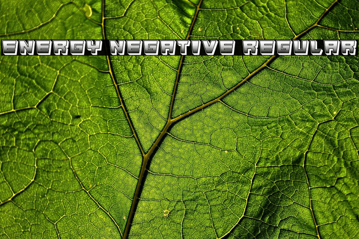 Energy Negative Regular Example 3