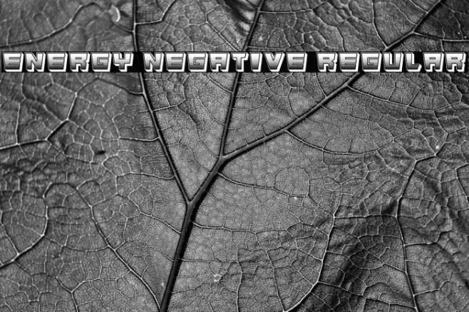Energy Negative Regular Example 3