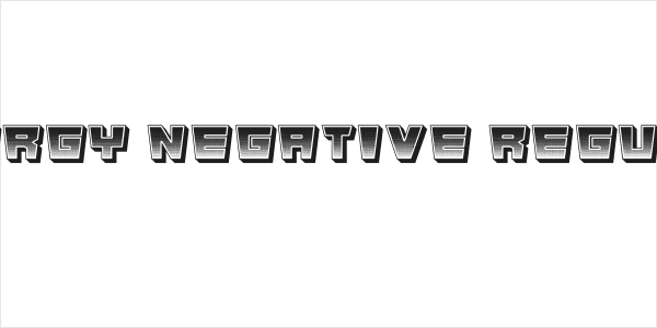 Energy Negative Regular Logo