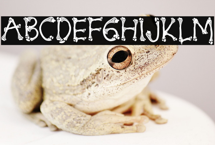 Energy Reborn Example 1