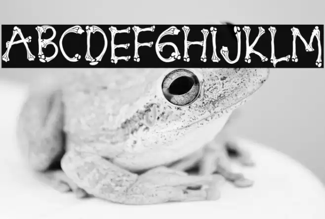 Energy Reborn Font examples