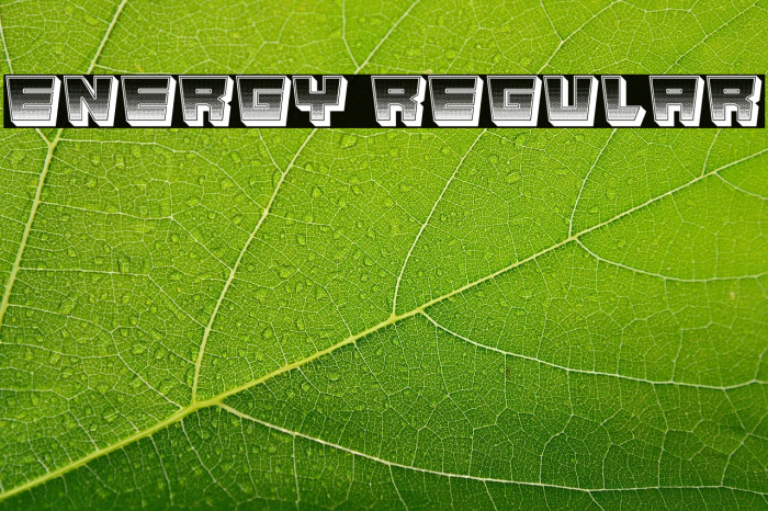 Energy Regular Example 1