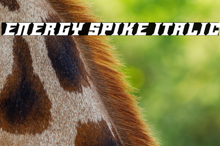 Energy Spike Italic Example 3