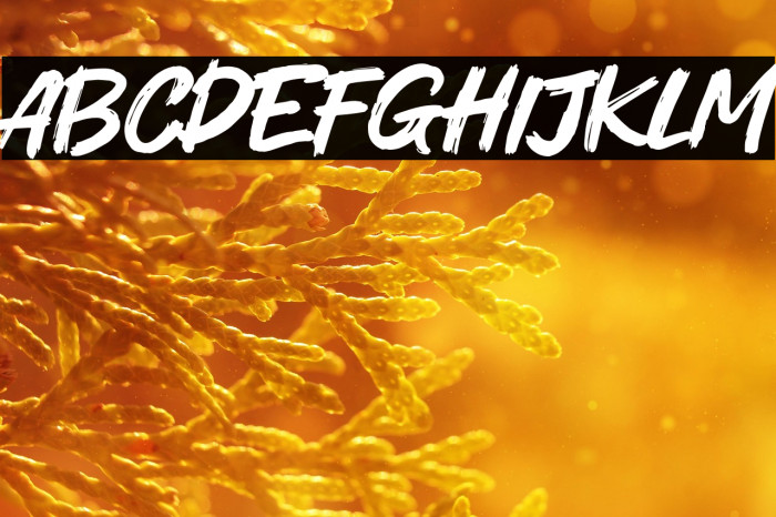 Energy Station Example 3