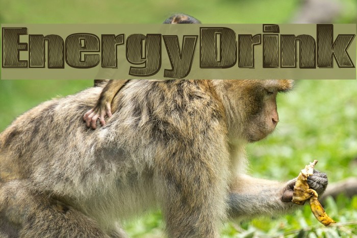EnergyDrink Example 1