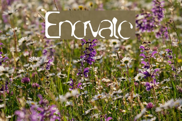 Enervate Font examples