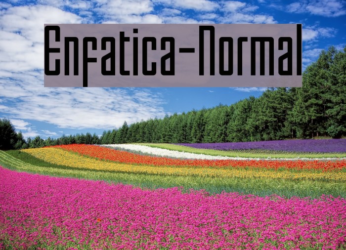 Enfatica-Normal Font examples