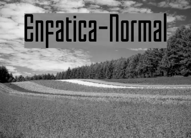 Enfatica-Normal Polices examples