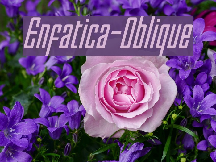 Enfatica-Oblique Font examples