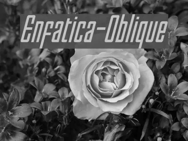 Enfatica-Oblique  examples