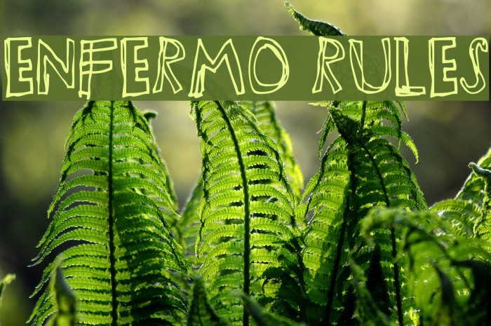 Enfermo Rules Font examples