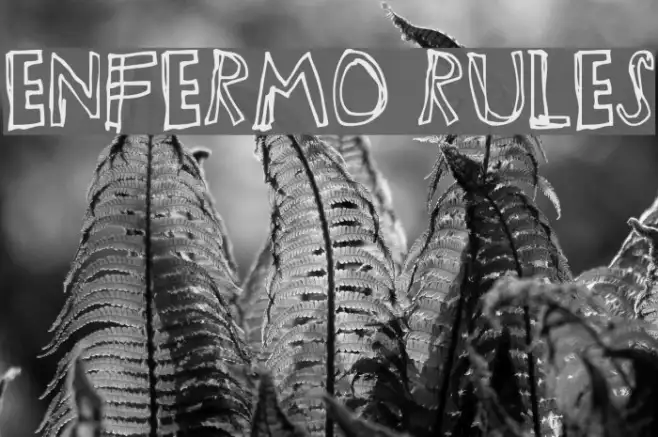 Enfermo Rules Example 3