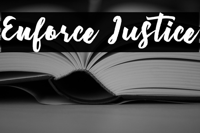 Enforce Justice Example 2