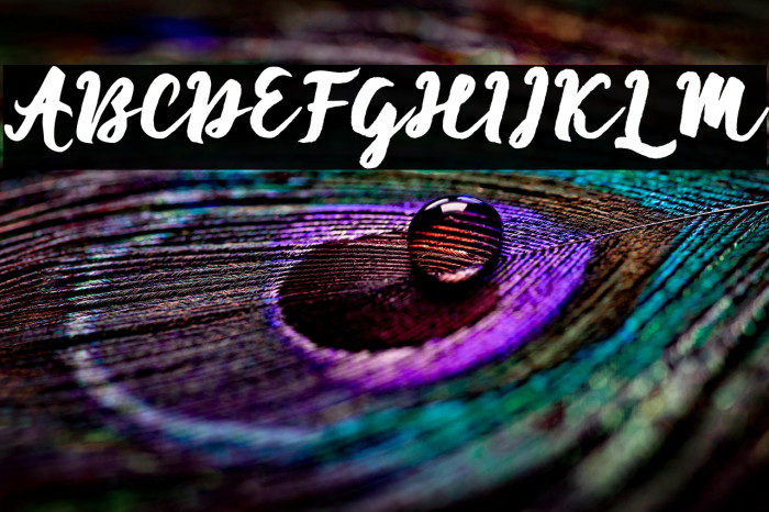 EnforceJustice Example 2