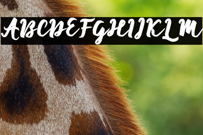 EnforceJustice Example 3